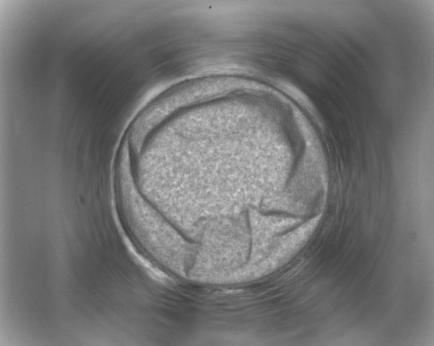 X0000065981439200603311853