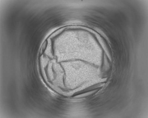 X0000065981440200603311853