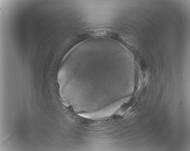 X0000065981441200603311852