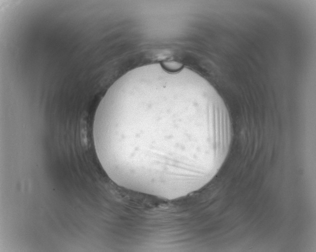 X0000065981442200603311852