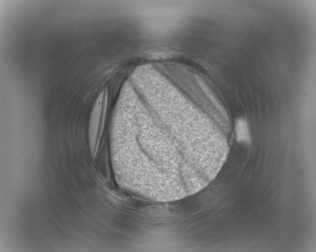 X0000065981444200603311852