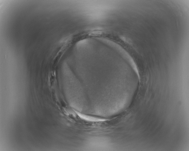 X0000065981445200603311852