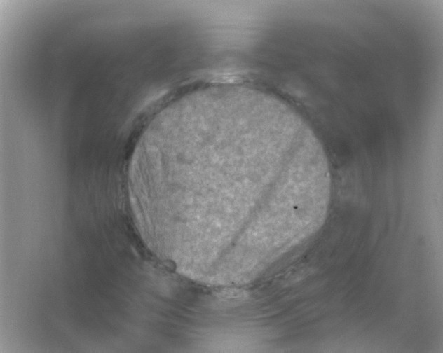 X0000065981446200603311852