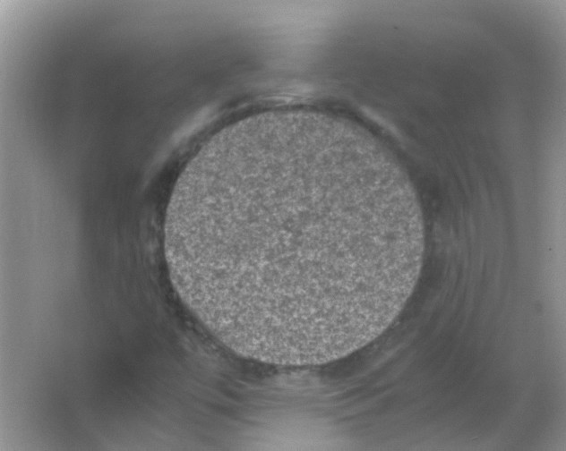 X0000065981447200603311852