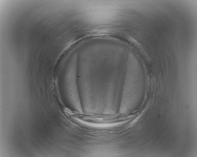 X0000065981449200603311852