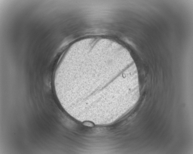 X0000065981451200603311852