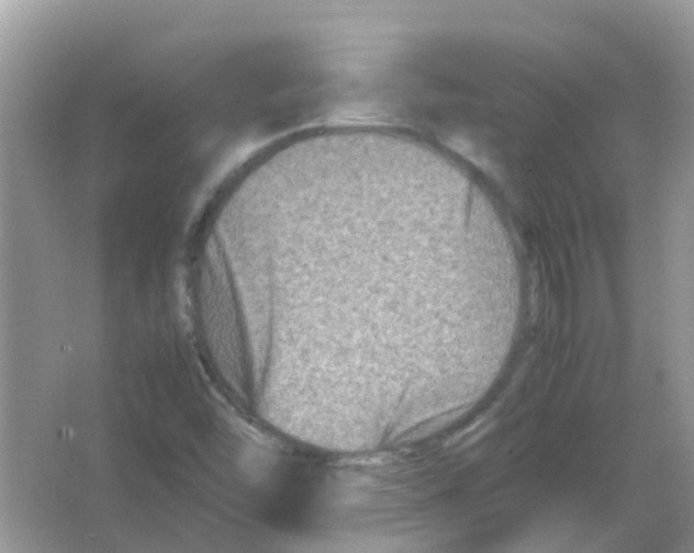 X0000065981454200603311852