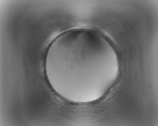 X0000065981455200603311852