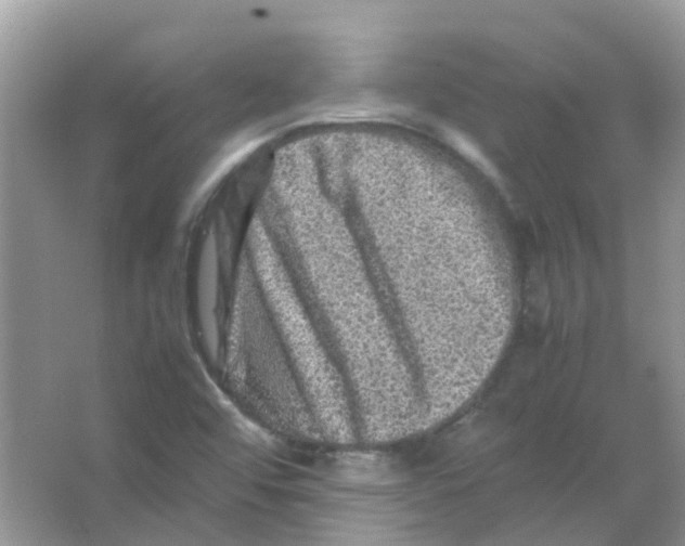 X0000065981456200603311852