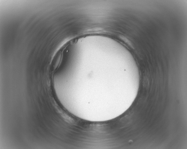 X0000065981458200603311852