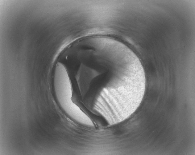 X0000065981459200603311852