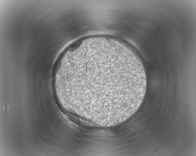 X0000065981460200603311852