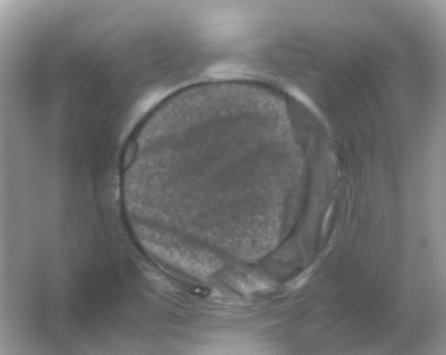 X0000065981461200603311852