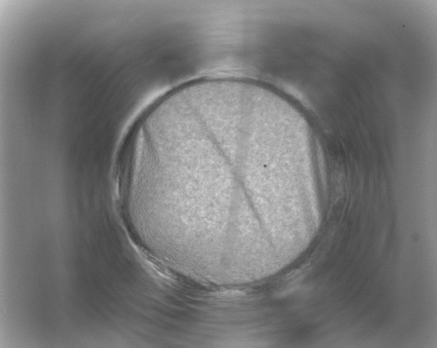 X0000065981462200603311852