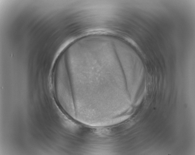 X0000065981466200603311852