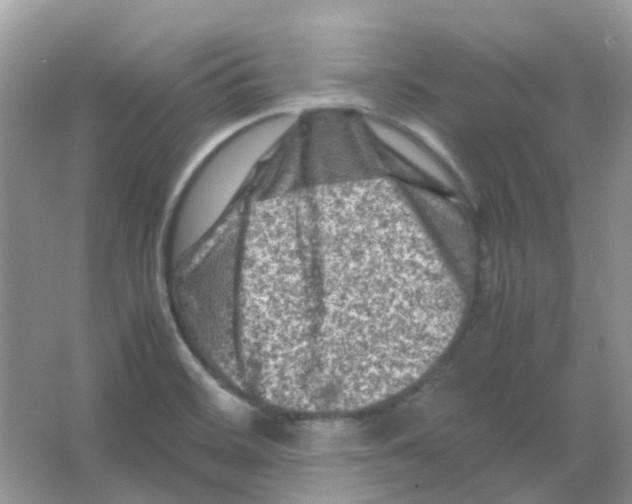 X0000065981468200603311852