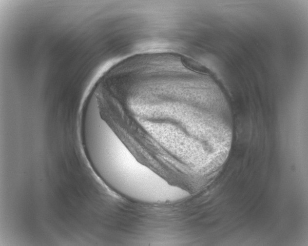 X0000065981472200603311852