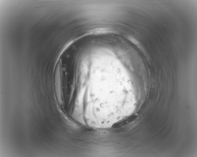 X0000065981473200603311852