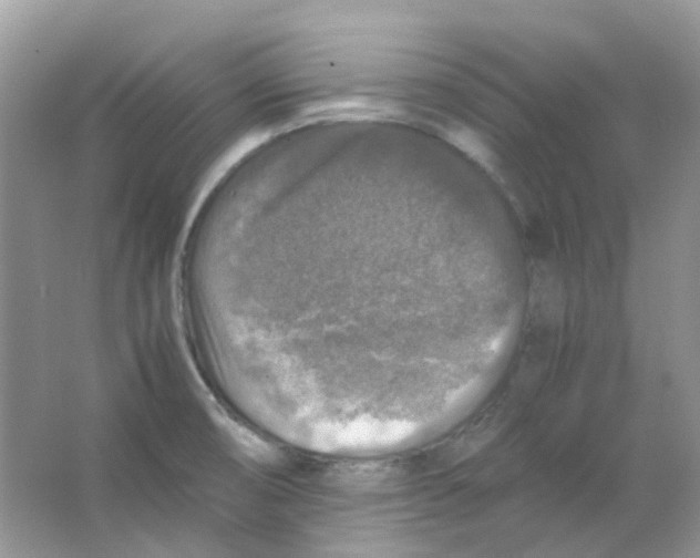 X0000065981474200603311852