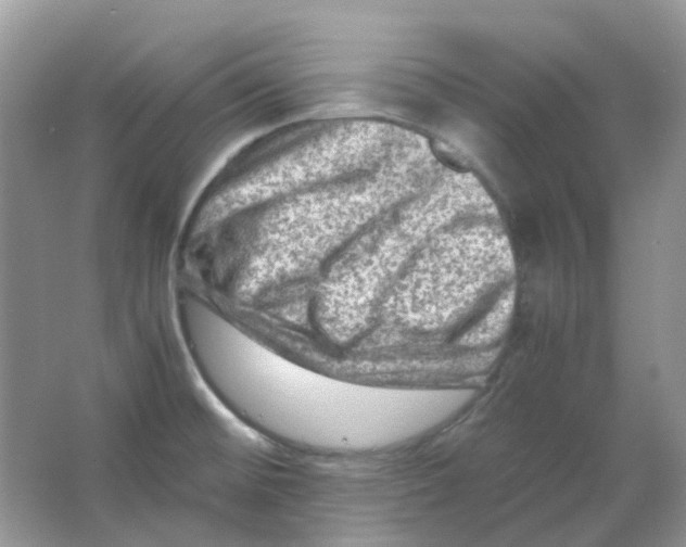 X0000065981476200603311852