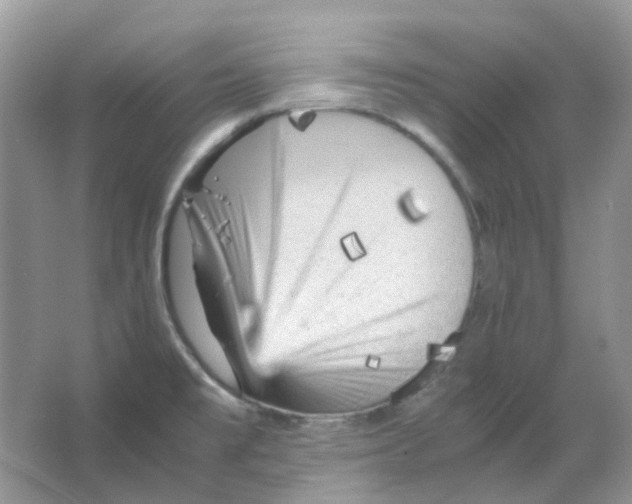 X0000065981477200603311852