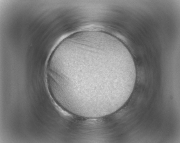 X0000065981478200603311852