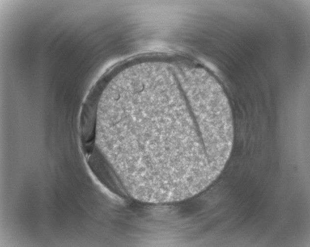 X0000065981479200603311852