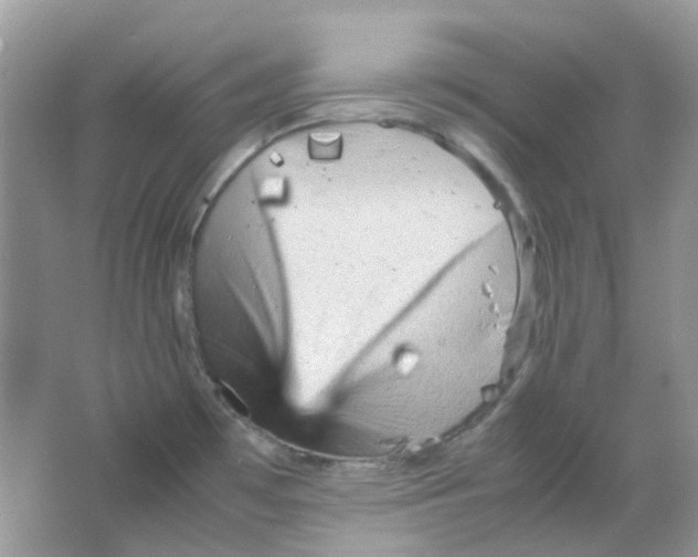 X0000065981481200603311852