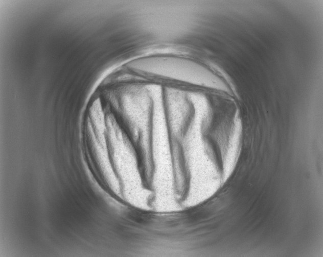 X0000065981483200603311852