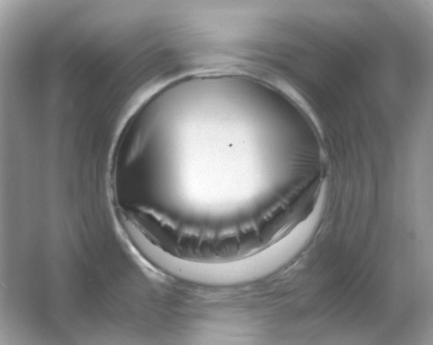 X0000065981485200603311852