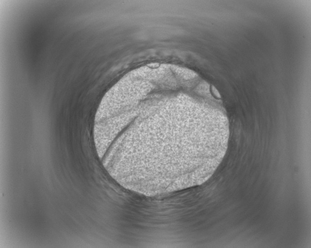 X0000065981489200603311851