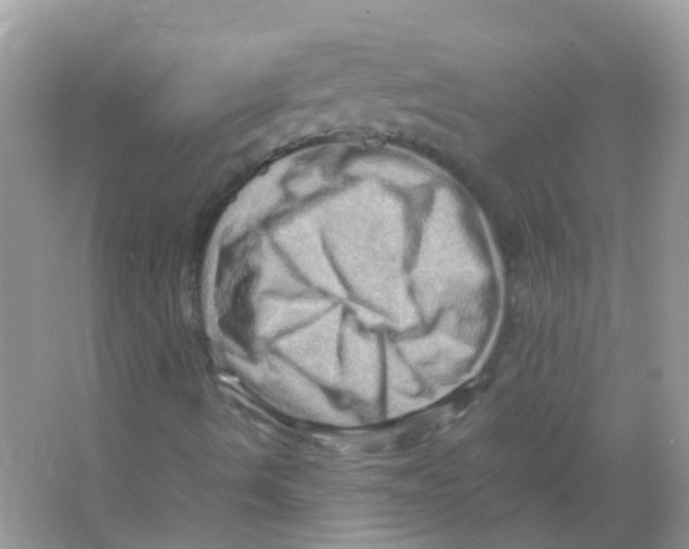 X0000065981490200603311851