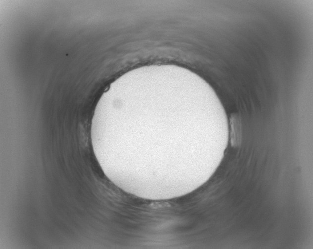 X0000065981491200603311851