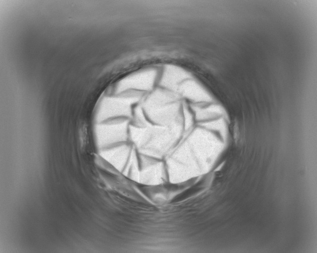 X0000065981492200603311851