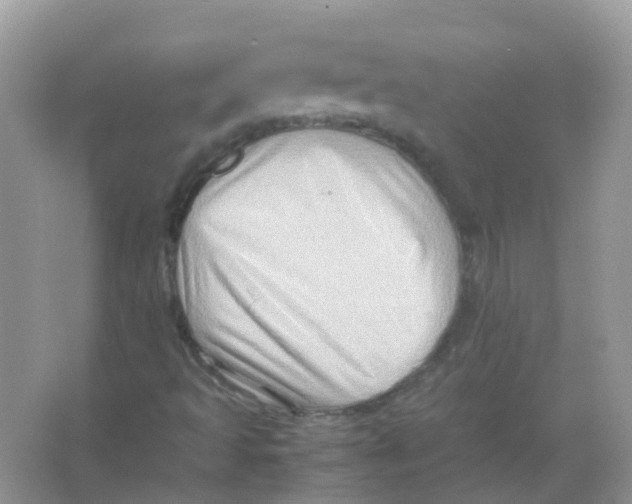 X0000065981493200603311851