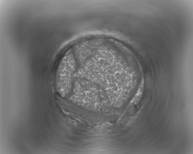 X0000065981494200603311851