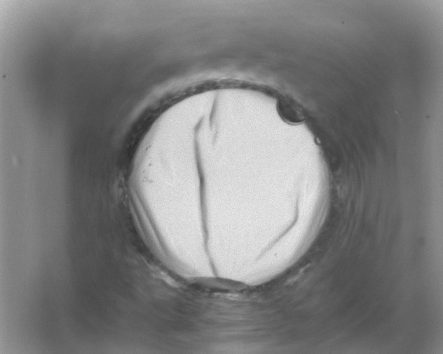 X0000065981495200603311851