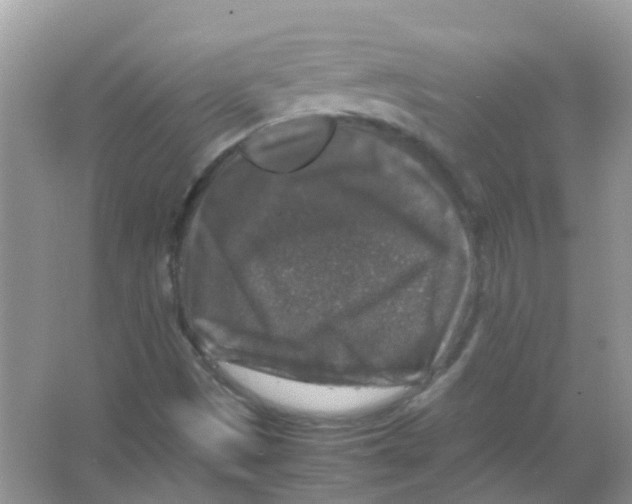 X0000065981497200603311851