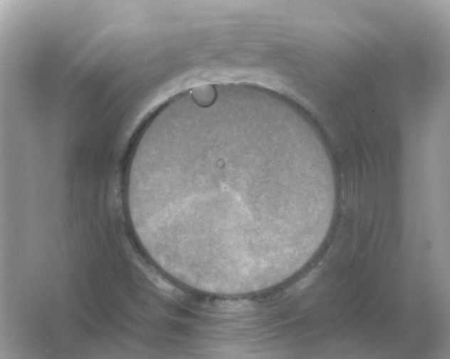 X0000065981498200603311851