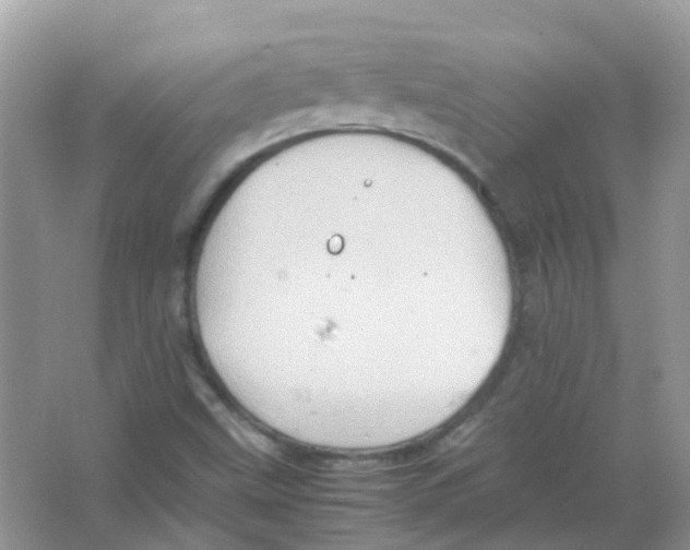 X0000065981499200603311851