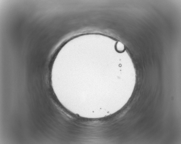 X0000065981502200603311851