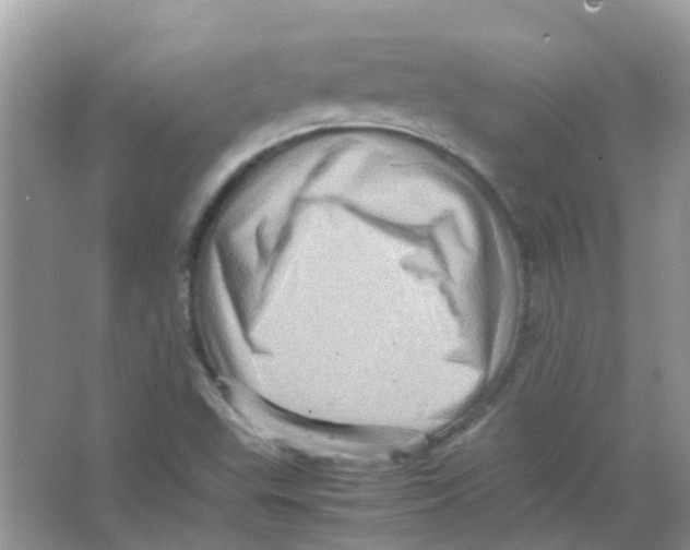 X0000065981503200603311851