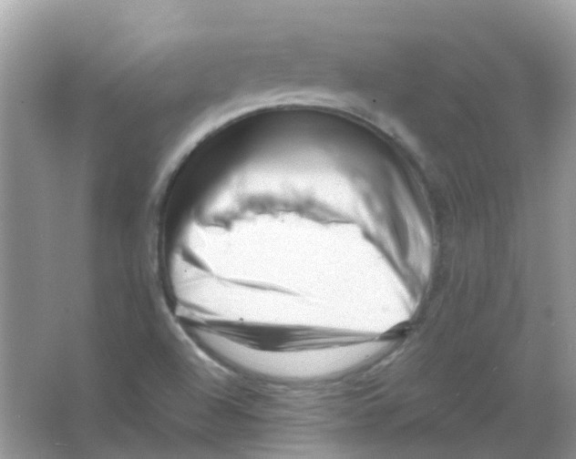 X0000065981504200603311851