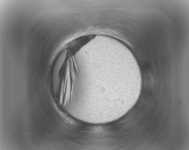 X0000065981507200603311851