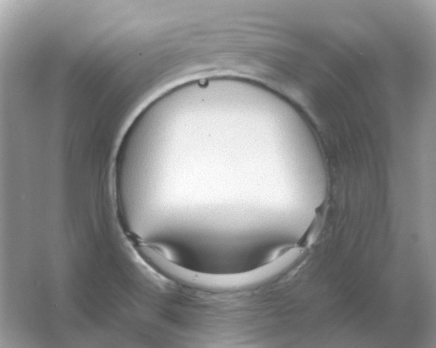 X0000065981516200603311851