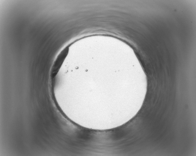 X0000065981518200603311851