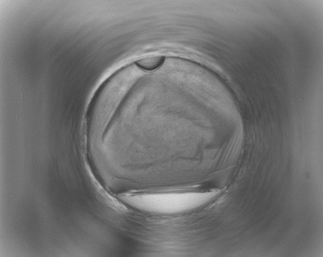 X0000065981522200603311851