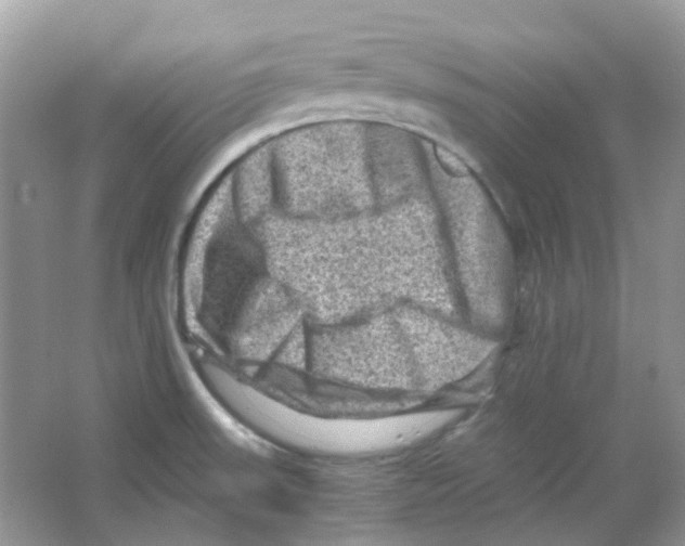 X0000065981523200603311851