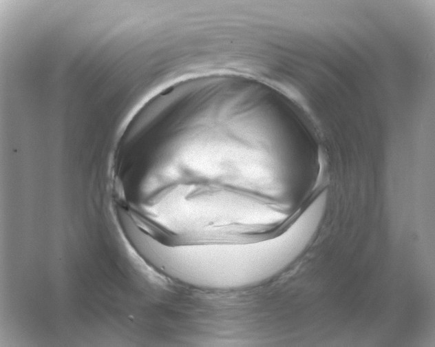 X0000065981524200603311851