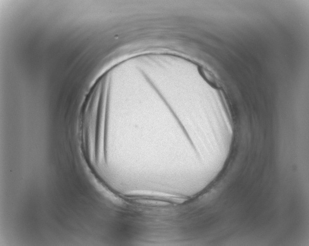 X0000065981526200603311851